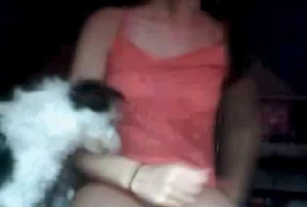 Cachorro lambendo a buceta da novinha na webcam